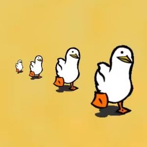 Meet your Posher, Jaden